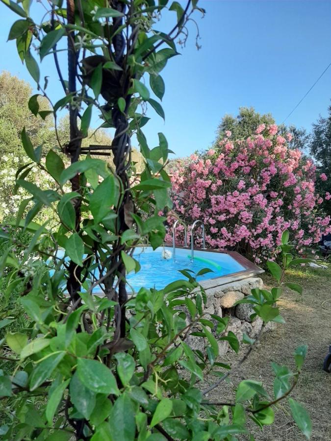 בוניפסיו Mini Villa Giuseppina מראה חיצוני תמונה