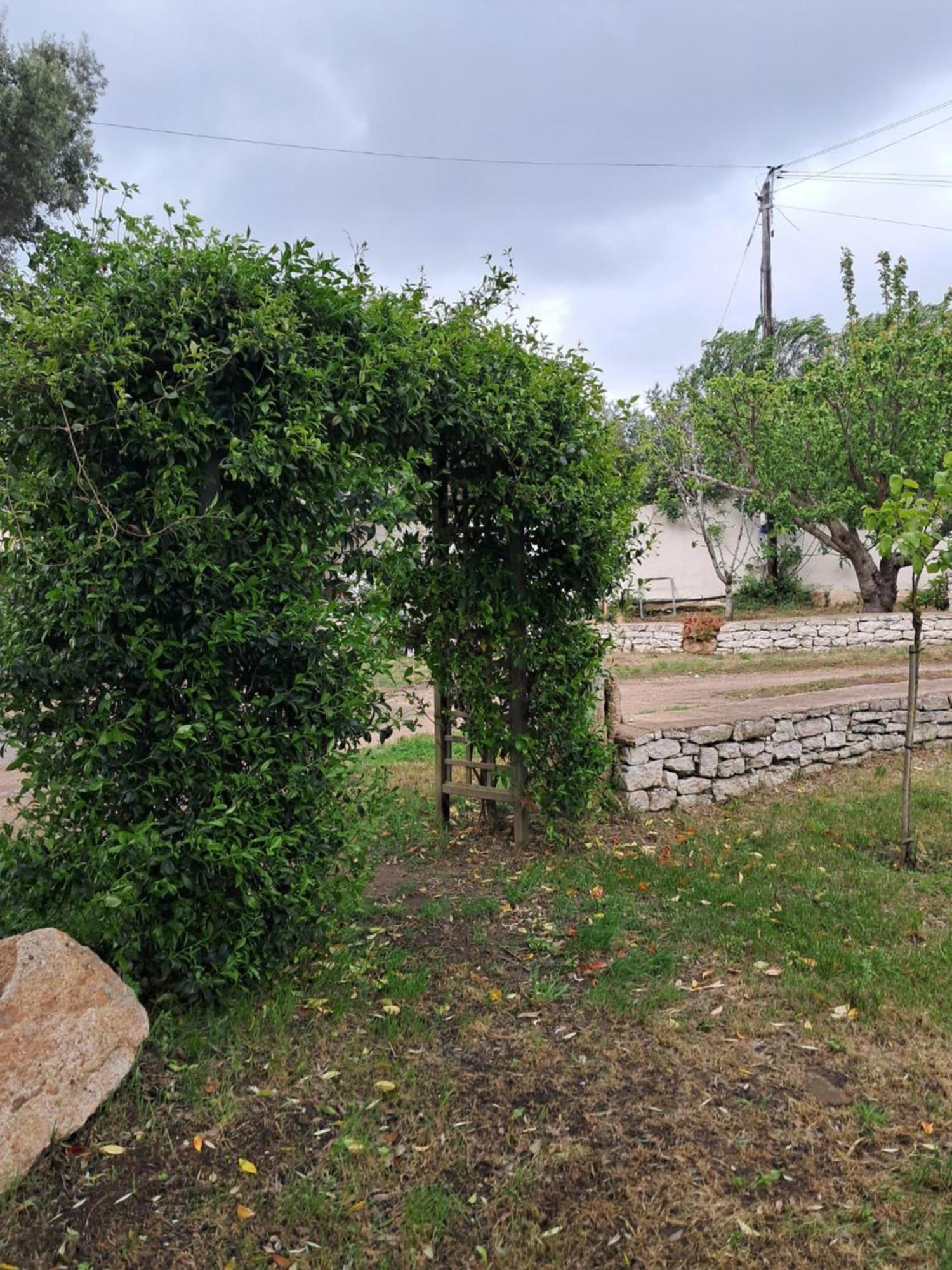 בוניפסיו Mini Villa Giuseppina מראה חיצוני תמונה